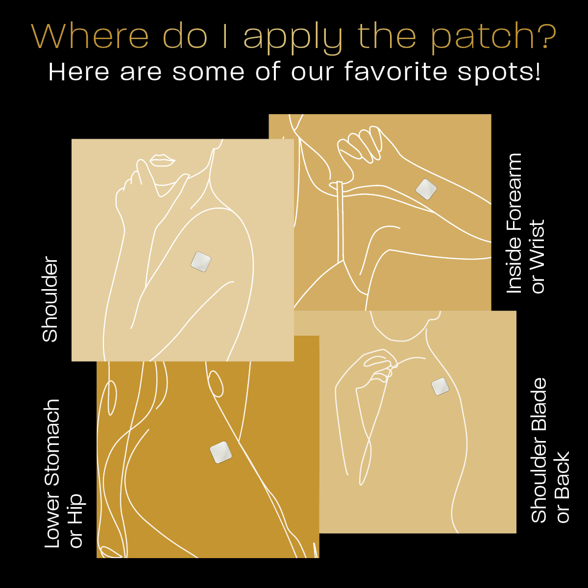 Where do I apply the ProPatch+ patches?